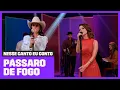 Sandy e Ana Castela fazem dueto de 'Pássaro de Fogo' | Nesse Canto Eu Conto | Música Multishow