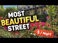 How Much Does It Cost to Stay on Mazatlan s Most Beautiful Street Airbnb Tour
