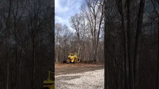 Cat D6H Clearing Land Shorts Cat Caterpillar Bulldozer Landclearing 