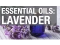 Essential Oils Lavender Oil