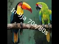 Littill Girl Be My Own (feat. Funder 15, Sweet Breeze, The Doves, Sony Oti, Rlo, Sweet Breeze,...