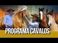 Download Lagu Campeão do Freio de Ouro faz test drive e reencontra amigos do cavalo!