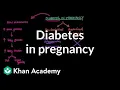 Diabetes in pregnancy Reproductive system physiology NCLEX-RN Khan Academy