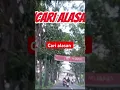 Download Lagu manis di bibir #senandungmelayu #mencarialasan #dangdutmalaysia #masukberanda