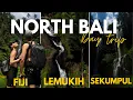 Download Lagu The ULTIMATE GUIDE to SEKUMPUL \u0026 FIJI WATERFALL, LEMUKIH WATERSLIDE | NORTH BALI | DAYTRIP | 4K