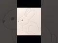 Rabbit drawing