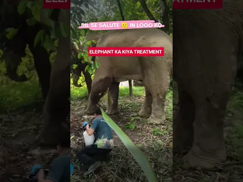 HATHI KA KIYA TREATMENT #jantarmantar