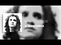 Roberto Carlos - A Montanha (Áudio Oficial)