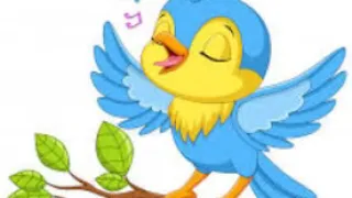 ترنيمه انا عصفور دندنها