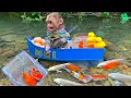 Download Lagu Ken monkey catches koi fish Vlogs