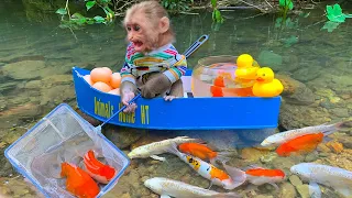 Download Baby monkey catches koi fish, picks fruit, finds toys and opens super cute surprise eggs MP3