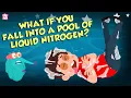 Download Lagu What If You Fall Into A Pool Of Liquid Nitrogen? | Hypothermia | Dr Binocs Show | Peekaboo Kidz
