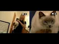 Jerry Cantrell adopted Layne Staley s cat Sadie after Layne passed away - MTV Cribs 2002