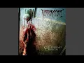 Download Lagu Paranoico