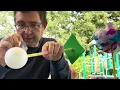 Title Bringing The Lorax to Life DIY Truffula Trees for Elementary Students