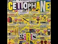 Cellophane Girls - 2nd Grade