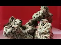 Strain Of The Day - Dubble Tropicana by HAPPY VALLEY sativa hybrid