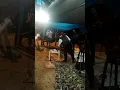 Download Lagu Kini Dah Tiba~D'klasik Band