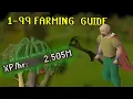 FULL Tree Run Guide