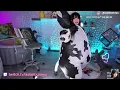 Have you guys seen a Cow Twerking