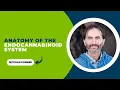2 Anatomy of the Endocannibanoid System- CB1 and CB2 Receptors