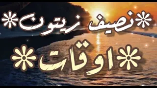 أغنية أوقات نصيف زيتون كلمات 