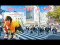 MajiでKoiする５秒前　同時再生&コラボ