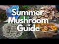 13 Edible and Medicinal Mushrooms to Forage this Summer