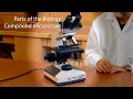 Parts of the Compound Microscope