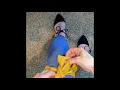 Lilac Market Headbands How to Tie A Baby Bow Tie Headwrap