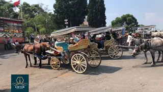 فيروز ـ رزق الله على العربيات ـ جزيرة الأميرات ـ شركة اللوفر للسياحة والسفر 