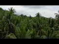 Real Life Mimmi Bangoura - Ethereal Natural Landscapes