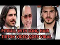 PitBull With Long Hair TikTok Viral Pitbull Hair Beard TikTok