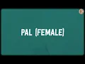 Pal - Female (Lyrics) - Javed-Mohsin, Shreya Ghoshal, Kunaal Vermaa