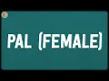 Download Lagu Pal - Female (Lyrics) - Javed-Mohsin, Shreya Ghoshal, Kunaal Vermaa