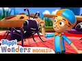 Lagu Semut | Blippi Bahasa Indonesia - video anak-anak