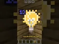 how to get a light block in Minecraft block