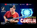 Viral Tiktok - Camelia ( H. Rhoma Irama ) - Cover melodi instrumen by Putut Gnx