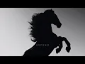 Ascend - Harpazz mega slowed