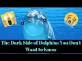 The Dark Side of Dolphins You Don t Want To Know
