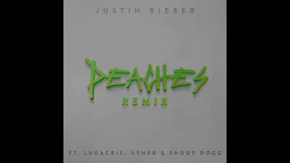 Download Justin Bieber - Peaches (Extended Remix) ft. Ludacris, Usher, Daniel Caesar, Giveon, Snoop Dogg MP3