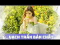 Lagu Ái kỷ ngầm (covert narcissist) | Sói đội lốt cừu