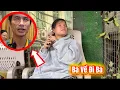 Download Lagu Bất Ngờ Con Gái Nuôi Xuân Hoà Gọi Ba Về Gặp Mẹ Và Em Lần Cuối 