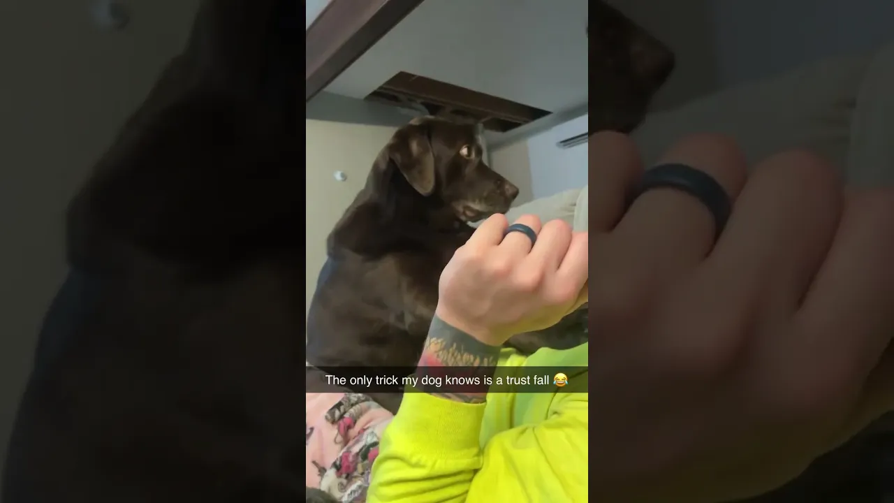 More talented than most