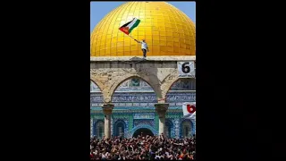 اذا المرء لا يرعاك الا تكلفا بدون موسيقى 