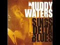 Rollin' Stone - Muddy Waters