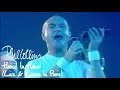 Lagu Phil Collins - Hand In Hand (Live And Loose In Paris)