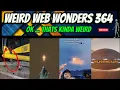 Download Lagu weird web wonders 364