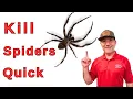 The Most Effective Spider Treatment Nobody Talks About