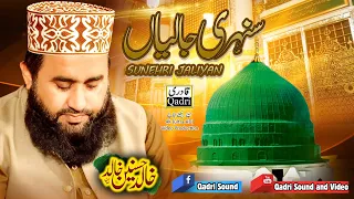 kya karoon ke yaad aati hain sunehri jaliyan khalid hasnain khalid gal sari sarkar di ay 2021